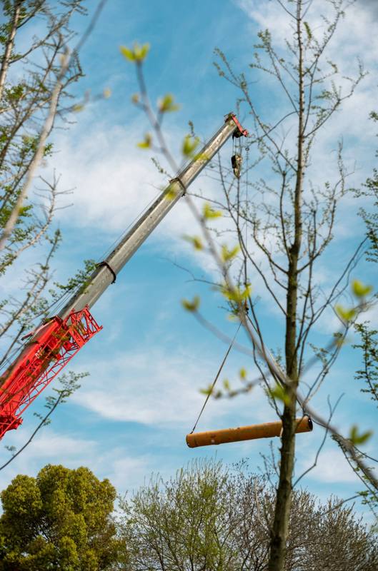 A crane arm lowering a cut log section past bare branches, red boom against sky.